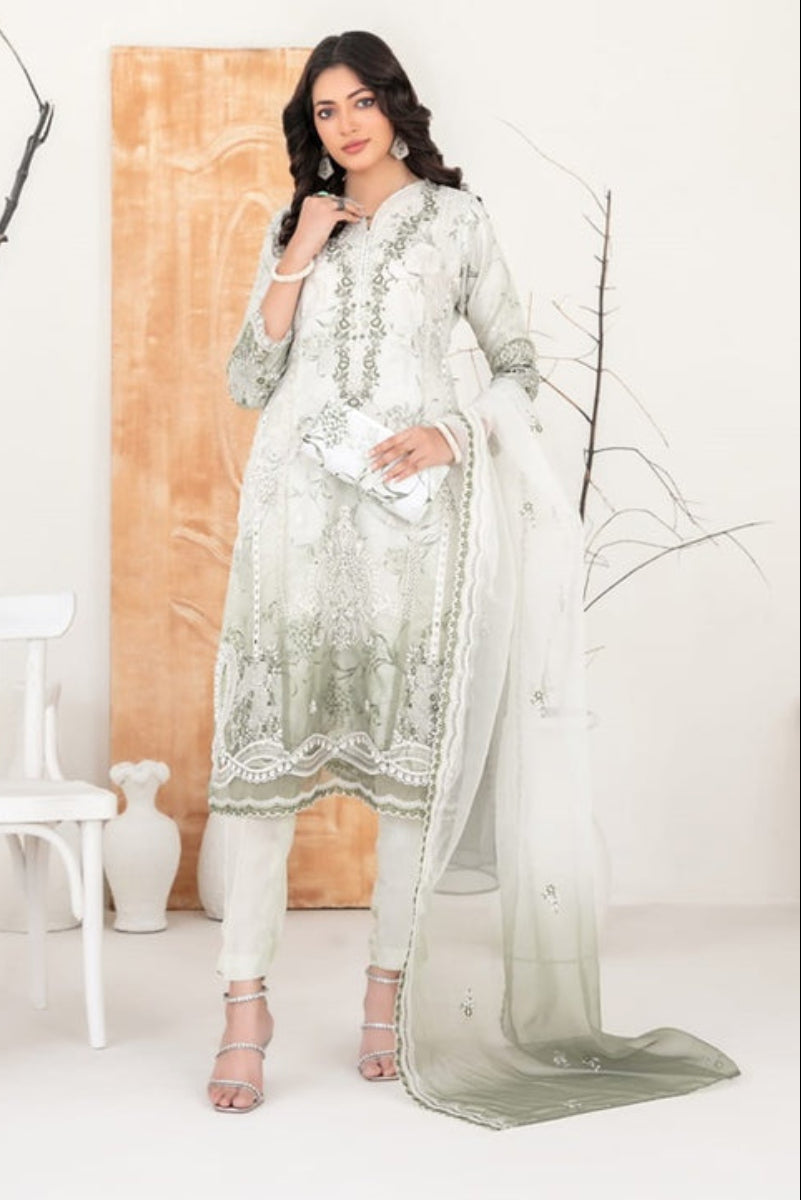 3-Piece Stitched Organza Collection