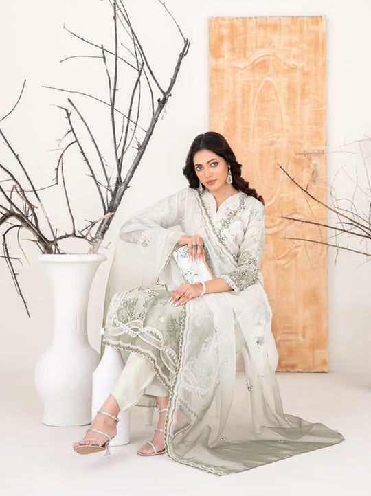 3-Piece Stitched Organza Collection