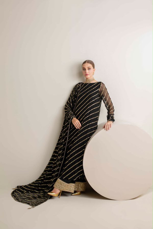 Luxury Formal Linear Embellished Suit with Heavy Border Bottoms