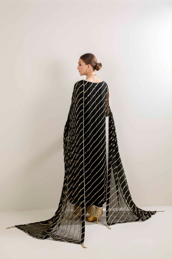 Luxury Formal Linear Embellished Suit with Heavy Border Bottoms